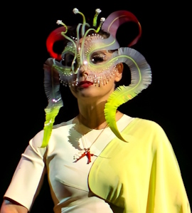 Bj�rk / Author: Raph_PH 09-2016 / Licensed under the Creative Commons Attribution 2.0 Generic license.